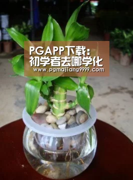 PGAPP下载:
初学者去哪学化妆较好(图1) PG麻将官网