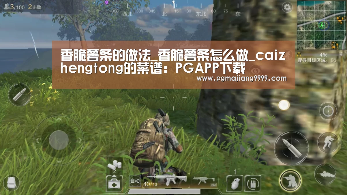 香脆薯条的做法_香脆薯条怎么做_caizhengtong的菜谱:PGAPP下载(图1) PG麻将官网