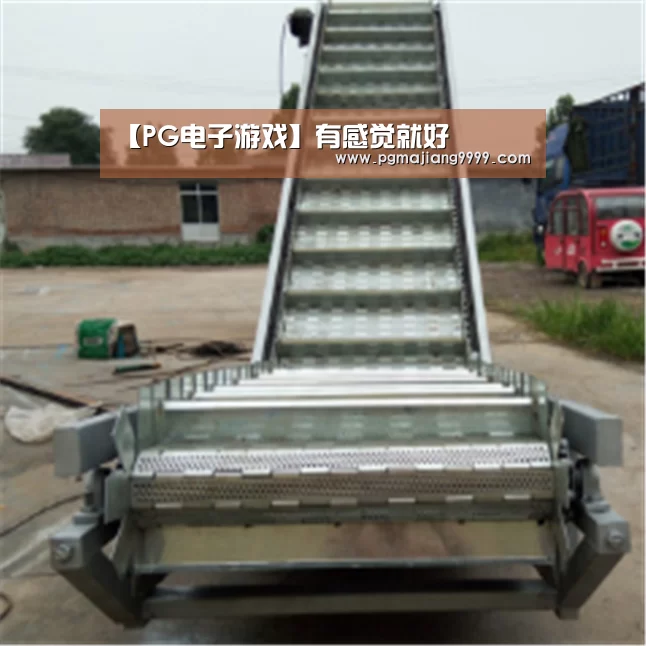 【PG电子游戏】有感觉就好(图2) PG电子游戏