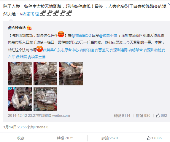 PG电子游戏-奥尔良脆皮炸鸡腿的做法_奥尔良脆皮炸鸡腿怎么做_幸运的小糯米的菜谱(图1) PG麻将游戏大厅
