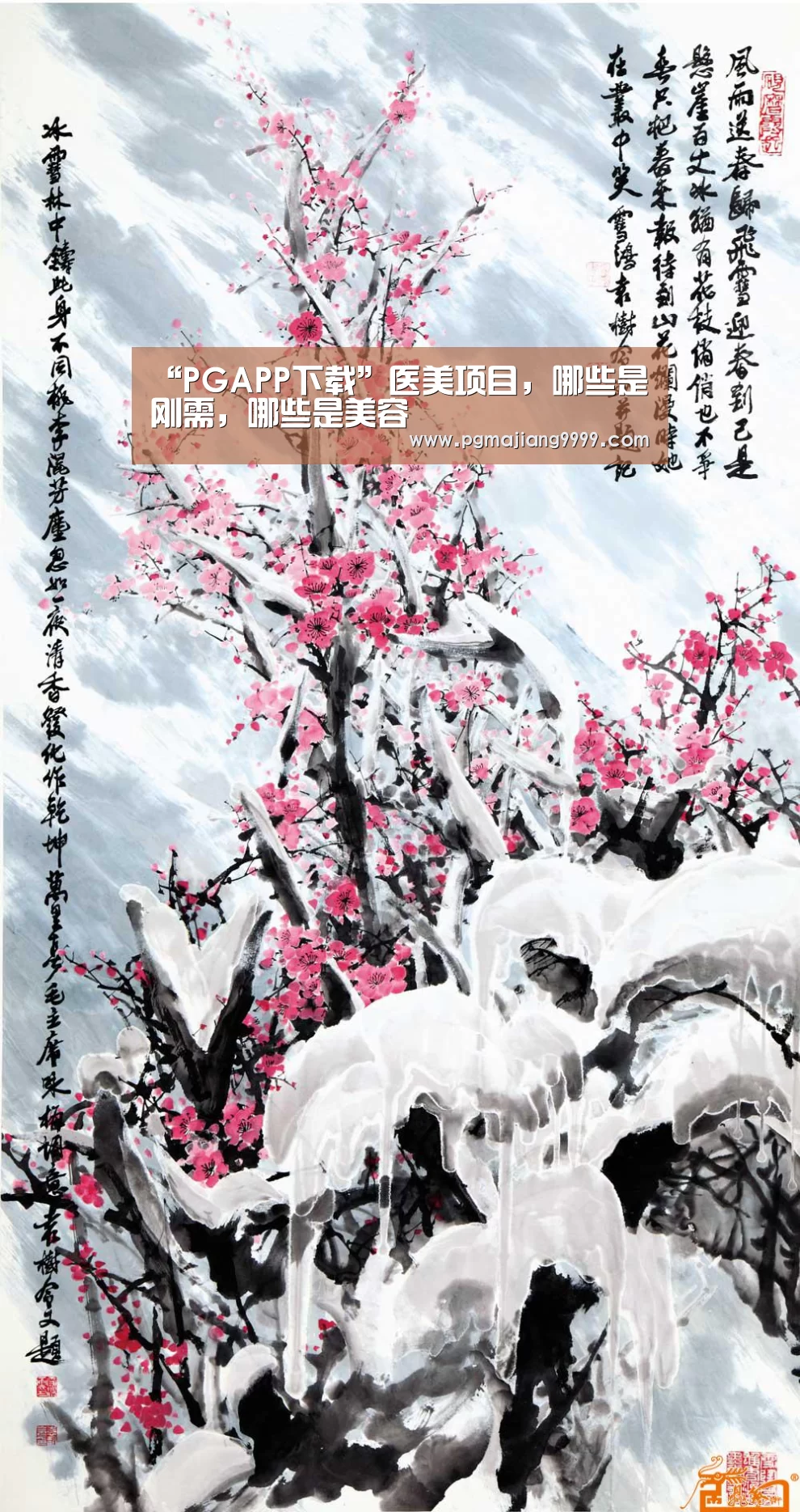 “PGAPP下载”医美项目,哪些是刚需,哪些是美容(图1) PG麻将官网